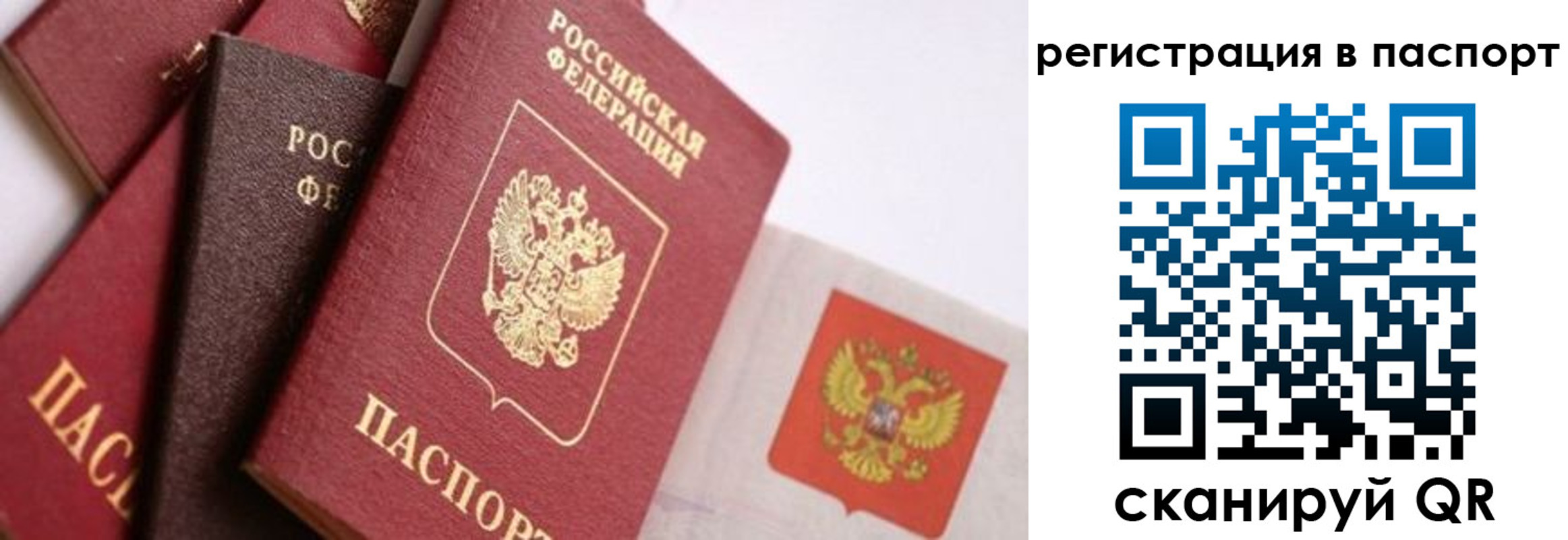 прописка в квартире в Родниках